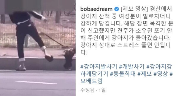 보배드림 레전드 사연 강아지 학대 발길질 너무 끔찍하다 - 더데이즈