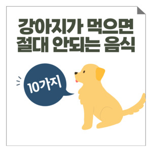 강아지가 먹으면 절대 안되는 음식 10가지 - 더데이즈